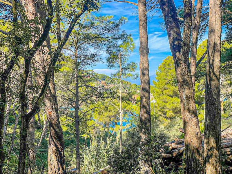 Foto 859760fd-51ac-4b18-ae92-94738f0d1fac. Terrain industriel dans s´antiga 13 dans Sa Riera-Sa Fontansa Begur