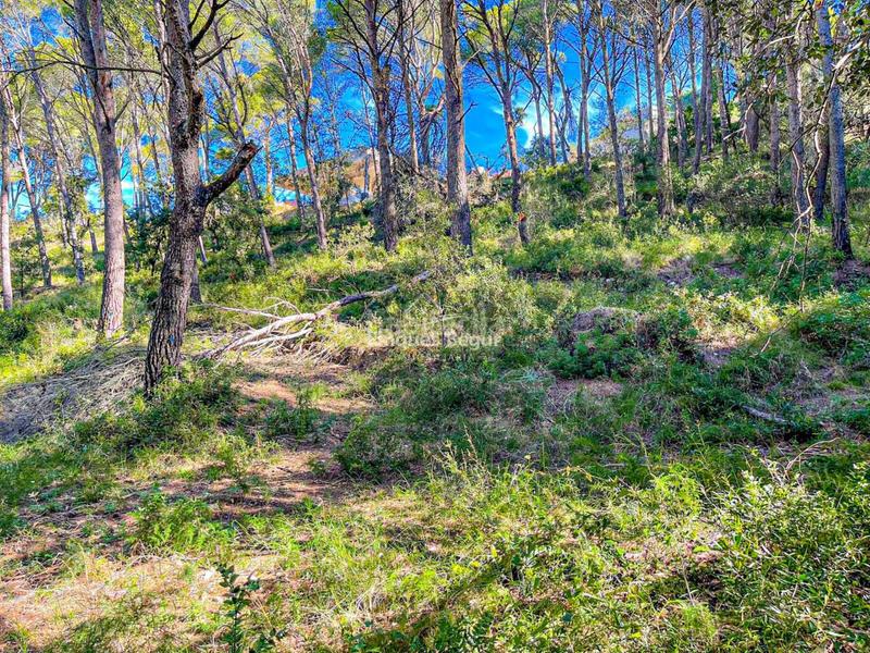Foto 9e86e8f5-059b-4616-a362-f759586c7028. Terrain industriel dans s´antiga 13 dans Sa Riera-Sa Fontansa Begur