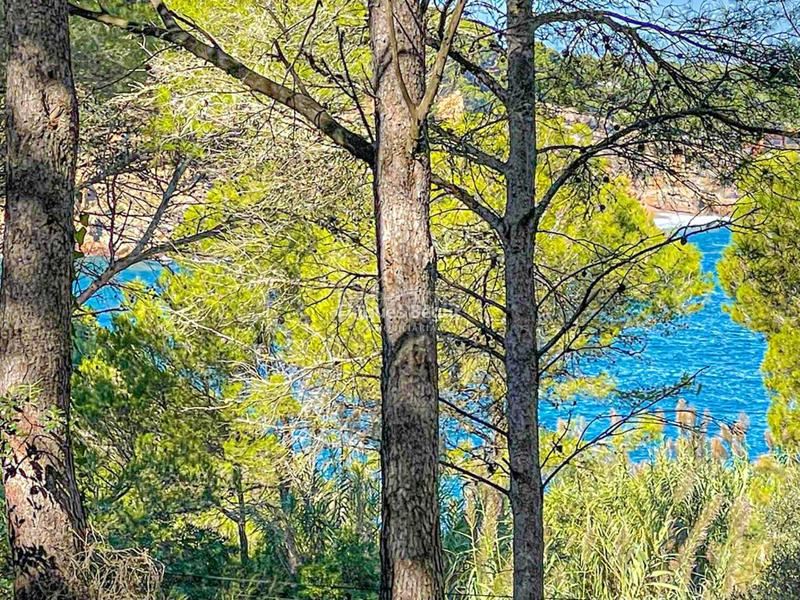 Foto a60a57c1-2e0a-4b33-99f8-2282560d9f25. Terrain industriel dans s´antiga 13 dans Sa Riera-Sa Fontansa Begur