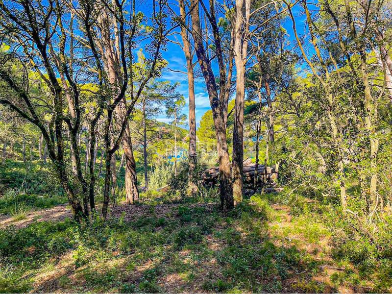 Foto c282af9f-fcdc-42a4-a554-7e1514eceade. Terrain industriel dans s´antiga 13 dans Sa Riera-Sa Fontansa Begur