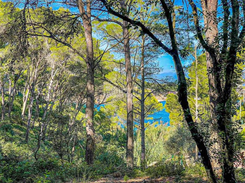 Foto d1a164a7-71a2-41dc-a97f-bd9dbfedc64b. Terrain industriel dans s´antiga 13 dans Sa Riera-Sa Fontansa Begur