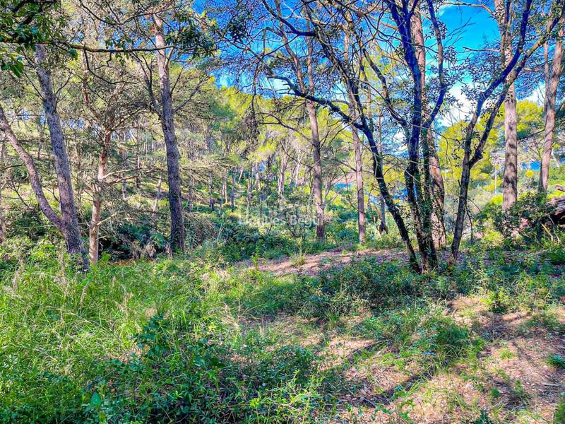 Foto fd6b0fcb-3506-4d0b-bbb2-0d19d41cf7d0. Terrain industriel dans s´antiga 13 dans Sa Riera-Sa Fontansa Begur