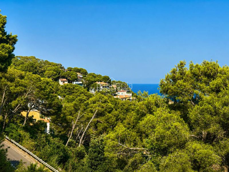 Foto baf78b71-86b9-4913-862a-703de008c772. Apartament amb aparcament a Aiguafreda-Sa Tuna Begur