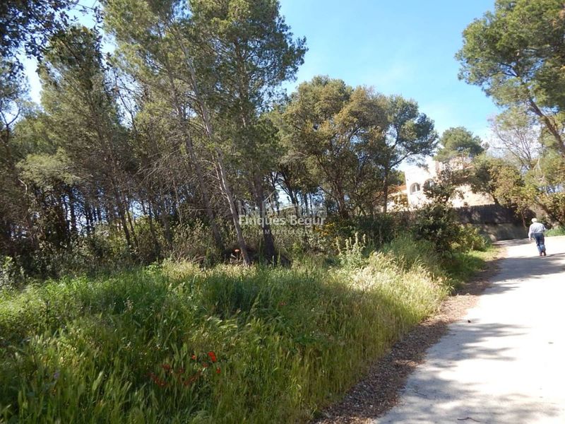 Foto 5a838da5-29e2-4680-9d22-6766bec7d208. Finca rústica a Tamariu