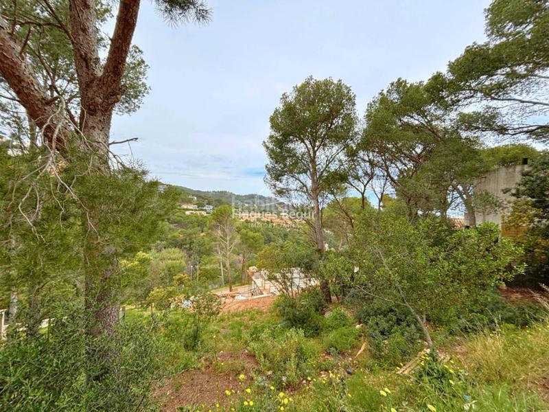 Foto 6dc04a4a-d6dd-4341-92d0-b3e397545fca. Residential plot in Aiguafreda-Sa Tuna Begur