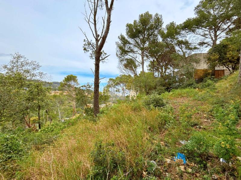 Foto ab36243f-ebf3-465f-abda-6905628ae446. Residential plot in Aiguafreda-Sa Tuna Begur