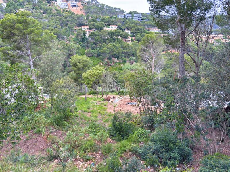 Foto aca1eb1a-e76f-471c-abe7-9901fa305c58. Residential plot in Aiguafreda-Sa Tuna Begur