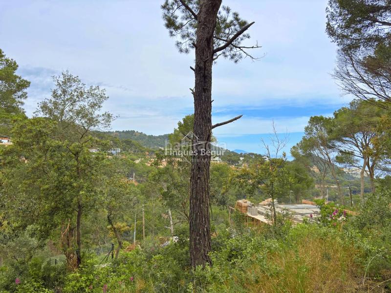 Foto e8a95bf6-e5c3-47ea-98cd-b1a1d1567720. Residential plot in Aiguafreda-Sa Tuna Begur