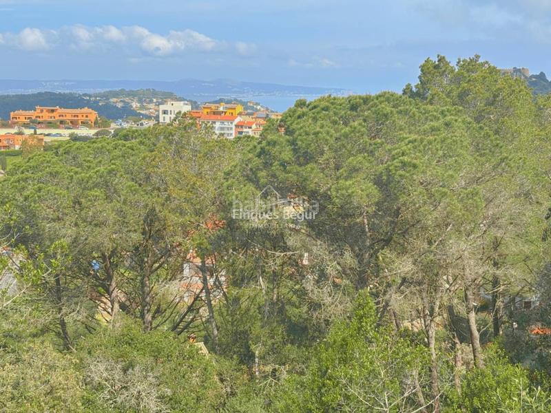 Foto 13b73046-c018-48d6-85a5-62f24e90f6ce. Rural plot in Begur Begur