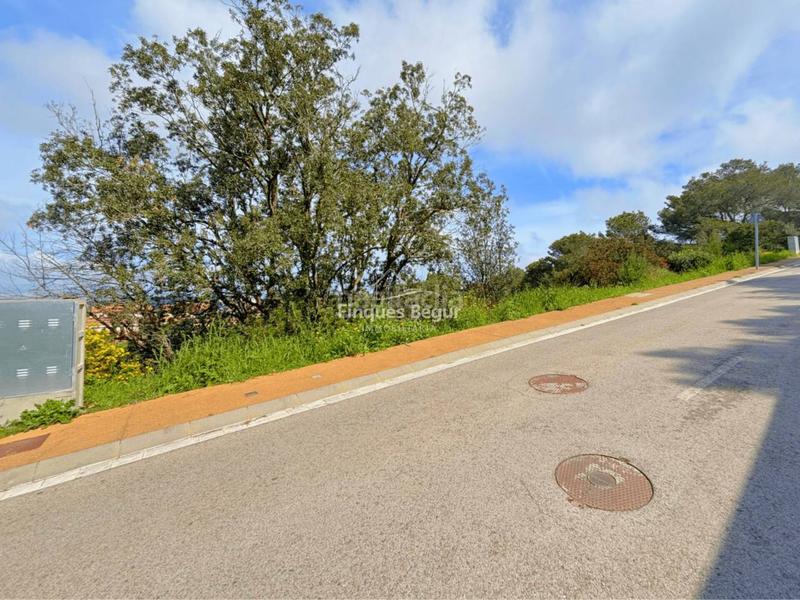 Foto 62b5a4d6-a609-44fa-899c-173f45d52615. Rural plot in Begur Begur