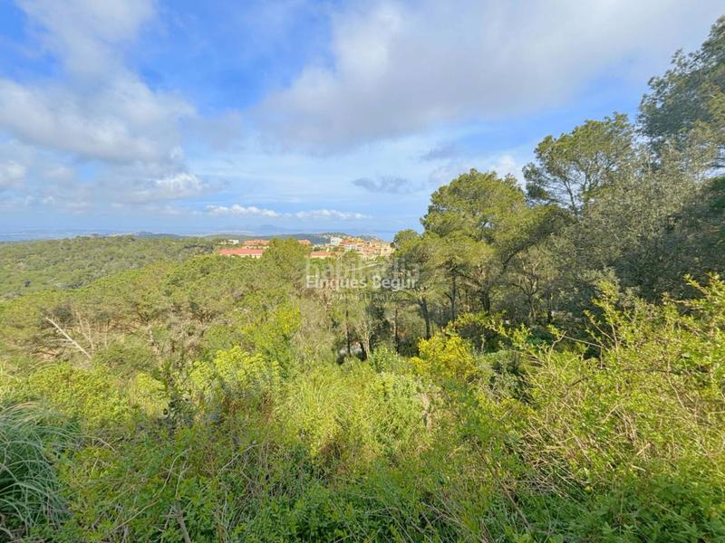 Foto ae197583-0379-4087-9a62-2e916f1fb2c9. Rural plot in Begur Begur