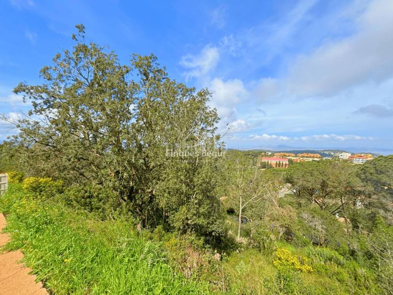 Foto b2d62060-2a69-4d35-9c14-9a65f5fba37a. Rural plot in Begur Begur