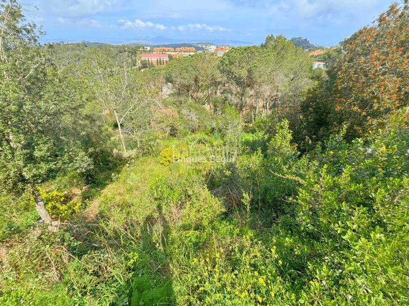 Foto b66b9547-dcb3-401b-b83a-7c73ea938f32. Rural plot in Begur Begur