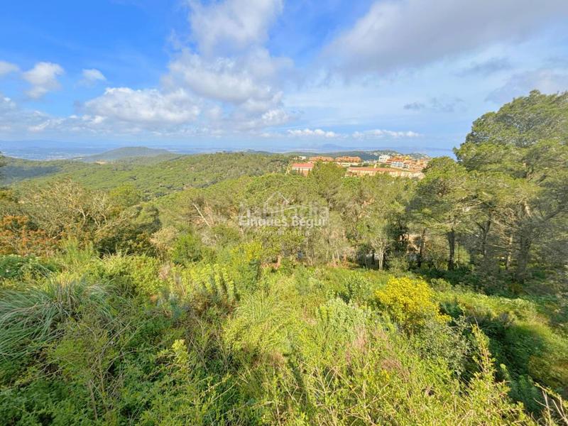 Foto c597aaf8-31ca-4ab4-864d-103457e0a5dd. Rural plot in Begur Begur