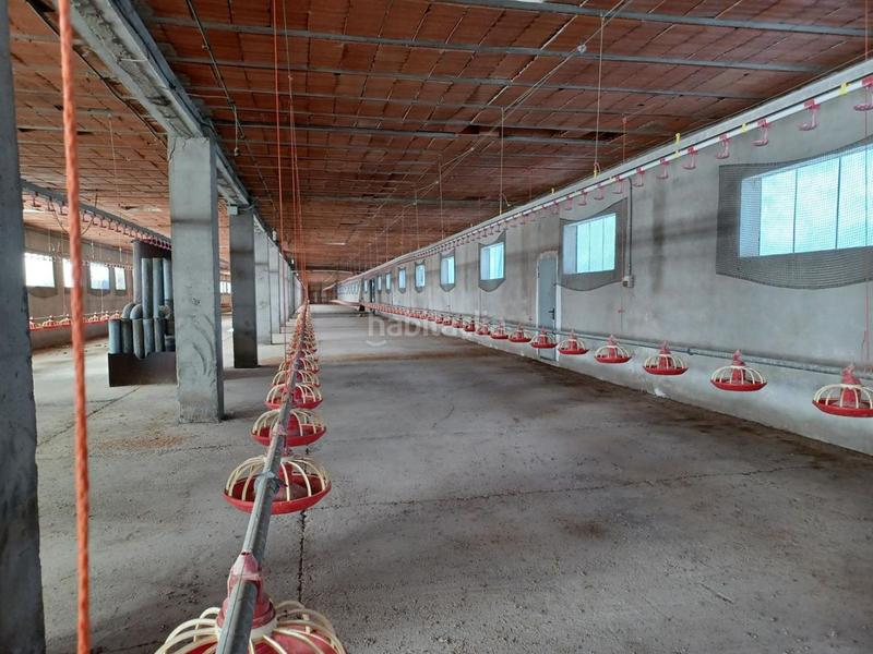 Foto 39edc8d1-2454-4121-b763-cd72debab88f. Bâtiment à usage industriel dans Roda (La)