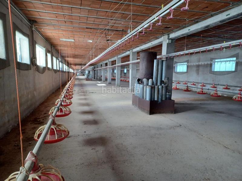 Foto 4c4f64d4-46d7-4f5b-b721-34f7ce6c79c3. Bâtiment à usage industriel dans Roda (La)