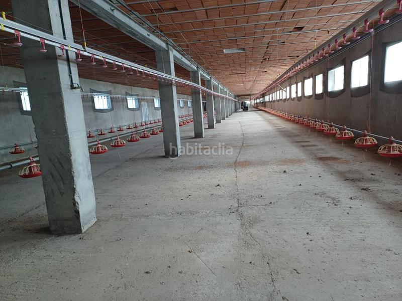 Foto c4455bbf-6f34-4742-91df-dac06a44a7ec. Bâtiment à usage industriel dans Roda (La)