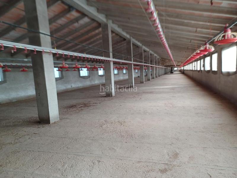 Foto e9c92ab0-c989-4139-9ea8-4eac1554e5e2. Bâtiment à usage industriel dans Roda (La)