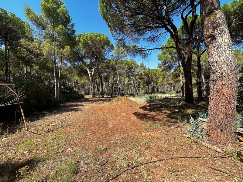 Foto 4dcbcba5-aef4-495b-9da0-3fe2f03fa016. Chalet avec parking dans Pedanías - Extrarradio Albacete