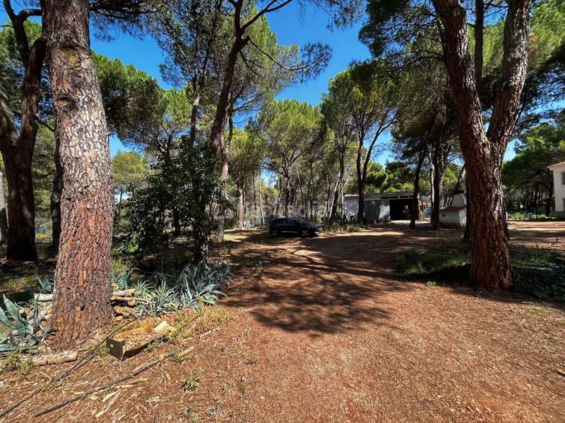 Foto e13ed6dd-ba78-4ba0-94b9-4b133cbde926. Chalet avec parking dans Pedanías - Extrarradio Albacete