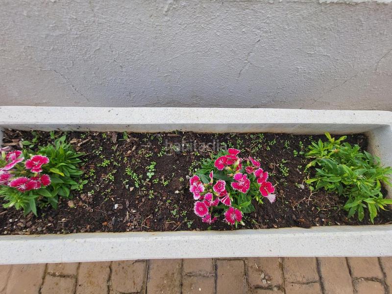 Foto a9cf35ee-c16f-4aa2-a3bd-a4d10735136a. Maison avec chauffage parking dans Casas de Benítez