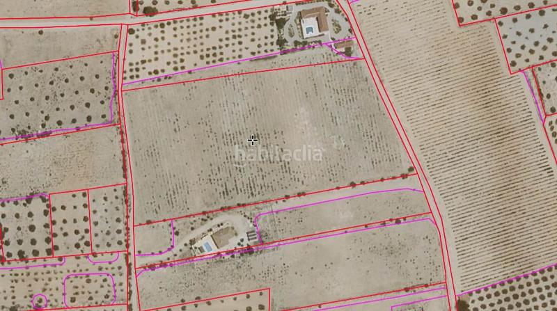 Foto ccdb2a84-1eac-4206-aad0-28d16f9b1983. Terrain résidentiel dans Caudete