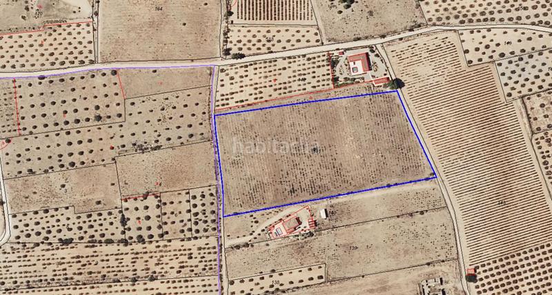 Foto d183d9bf-04b8-4bf5-a330-f84da2096047. Terrain résidentiel dans Caudete