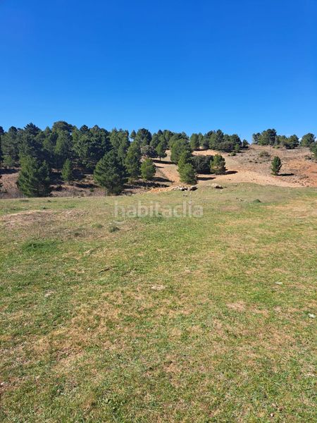 Foto 348ce62c-434e-43cc-8f41-b28c9b12fef9. Casa a carboneras a Peñascosa