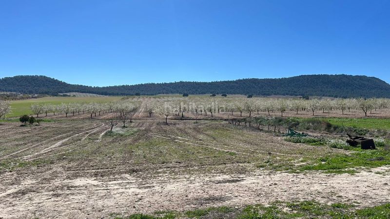 Foto cb3329c5-46a4-4033-aa2d-6dd754bc658f. Masia a Tobarra