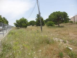 Terreny residencial  Calle ermita nova. Venta de parcela en campolivar Terreny residencial  Calle ermita nova. Venta de parcela en campolivar