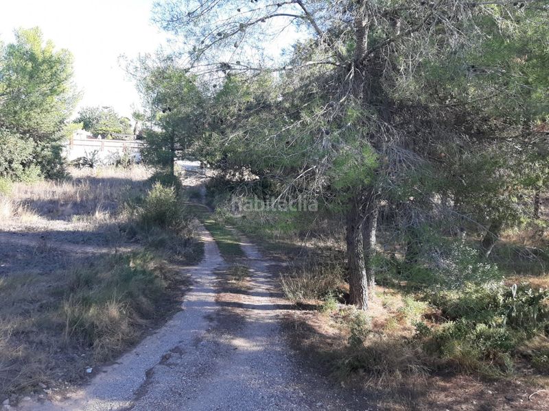 Foto 1a684974-d3fe-42aa-8dfd-06480ebb3ca8. Terreny residencial a La Presa - Collado - La Malla Manises