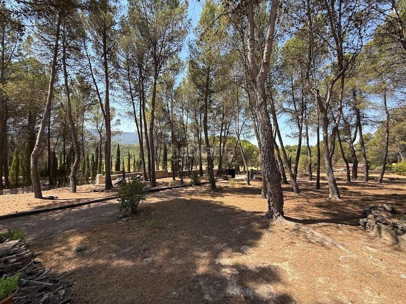 Foto 3d518da3-80a4-46f1-befa-bdfaf5469771. Casa amb aparcament a Batoi Alcoi