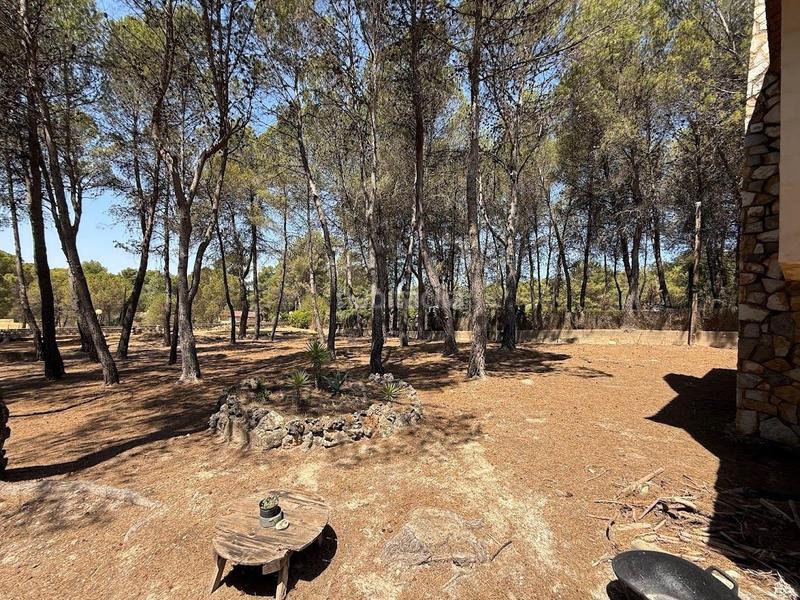 Foto 6a27b5ca-4a7c-4979-a688-8a227ab70aba. Casa amb aparcament a Batoi Alcoi