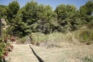 Terreny residencial a Valldemar-Montmar. Terreno urbanizable de 1300 m2