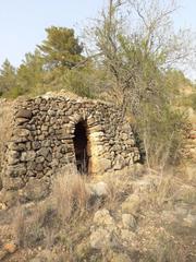 Finca rústica a Salomó. Terreno agrario