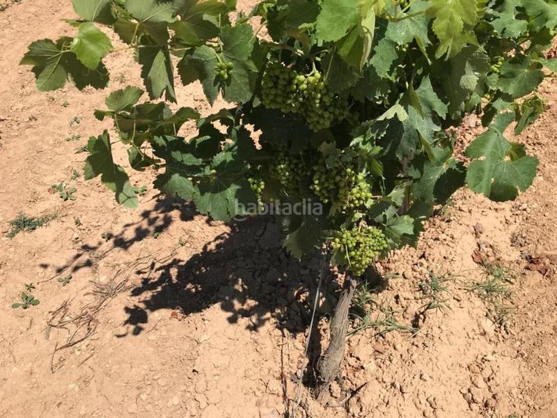 Foto 0a9002a9-76d3-43fd-9d33-5059f0eb6773. Propriété dans Albinyana