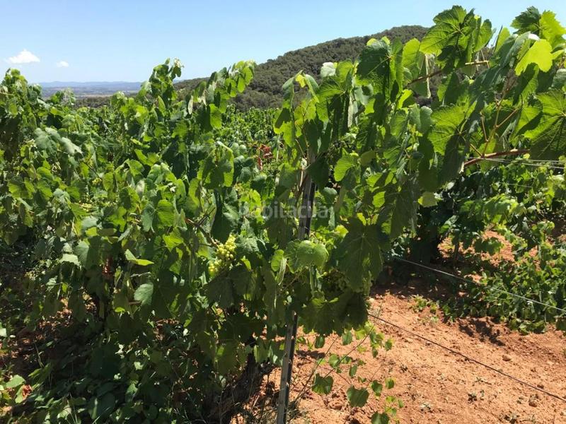 Foto 0bcc428d-6203-4572-a550-ebc0ed4d8db0. Propriété dans Albinyana