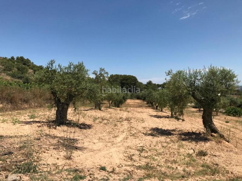 Foto 0bef9a8d-f3c9-4bbb-8134-5d7a02135d88. Propriété dans Albinyana