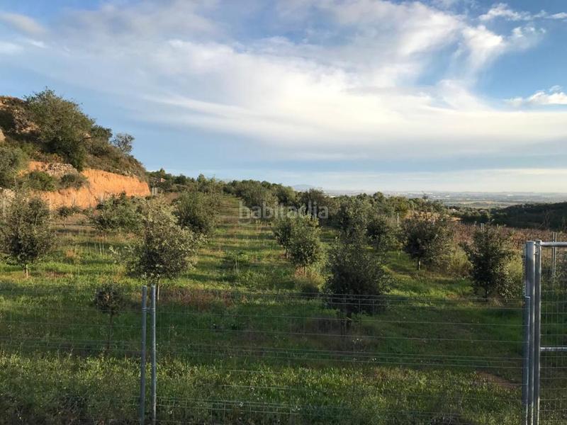 Foto 0ecfaa1d-bd7b-409b-b1c7-beb0dc1c4e55. Propriété dans Albinyana