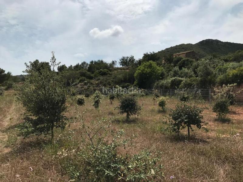 Foto 12940acc-182e-424e-8271-ce09e1601b83. Propriété dans Albinyana