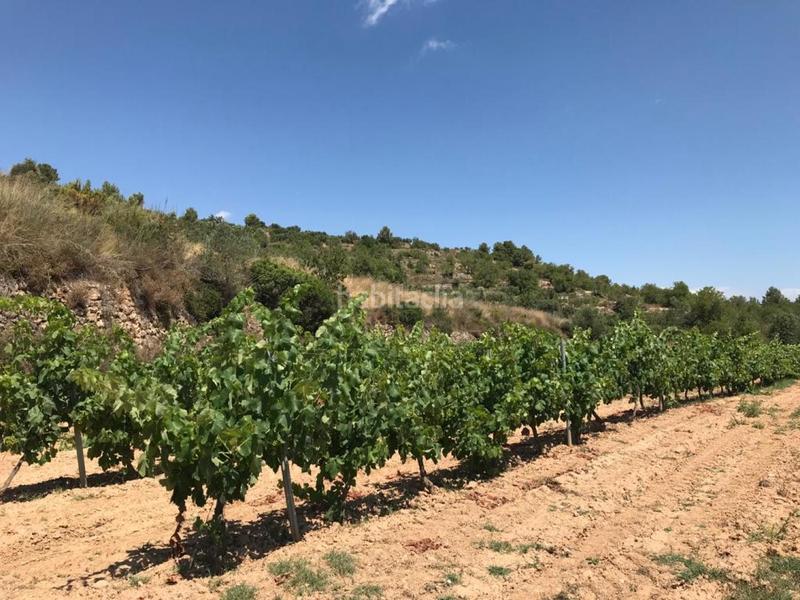 Foto 17a545a0-c9aa-48a4-a84a-7b1aed25ede2. Propriété dans Albinyana