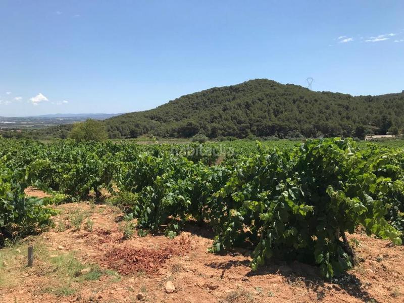 Foto 229fa90a-bdda-4428-9c7f-f9316c61701e. Propriété dans Albinyana