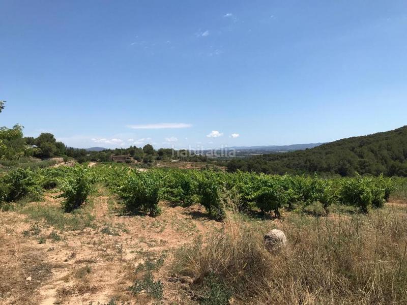 Foto 2dea4317-9ac0-4ed0-b312-4fc2ccc964b8. Propriété dans Albinyana