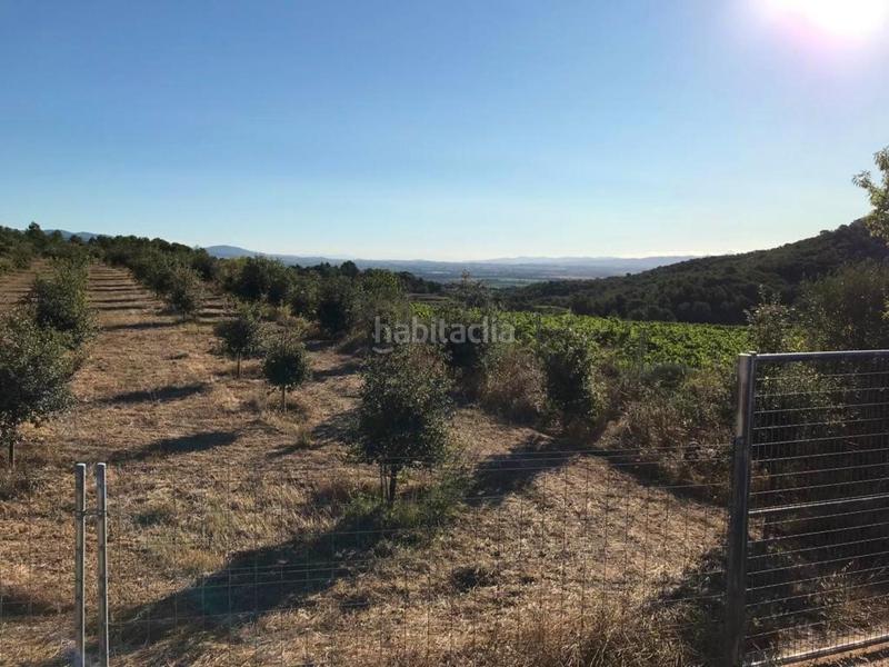 Foto 42200224-6e7f-4798-bd6e-a13d9a4e278e. Propriété dans Albinyana