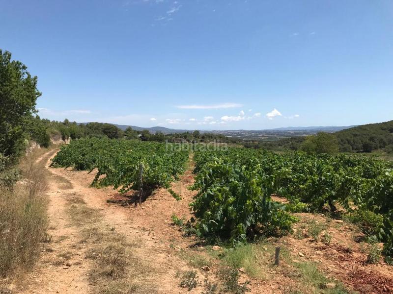 Foto 502dbdb9-240d-4148-a551-33658b7642f9. Propriété dans Albinyana