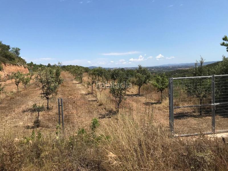 Foto 514c3609-20b2-46bc-abd4-6f70808698c5. Propriété dans Albinyana