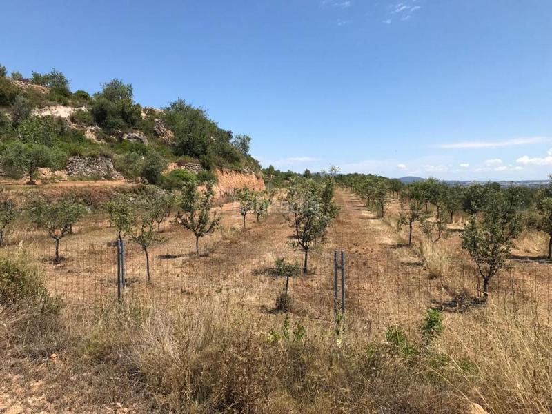 Foto 5477973d-0699-4043-a5c7-248c95a0df1a. Propriété dans Albinyana