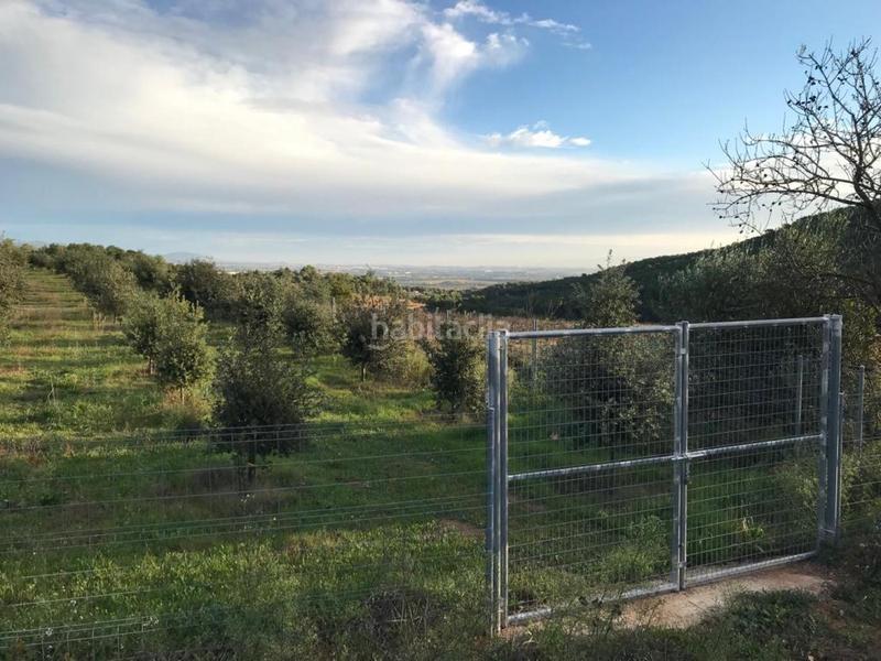 Foto 59dbd9f2-fb30-4cf3-afd5-27c7cf033406. Propriété dans Albinyana