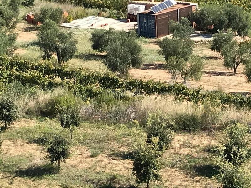 Foto 9a6da6bf-f812-454a-aa2f-644dcba68533. Propriété dans Albinyana