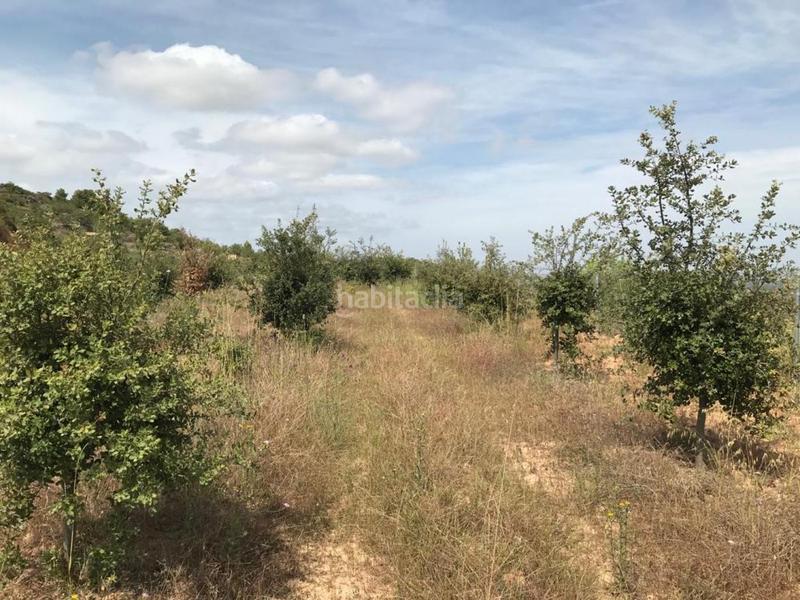 Foto c5ff775b-516d-4fd3-9389-b1c9a5167838. Propriété dans Albinyana